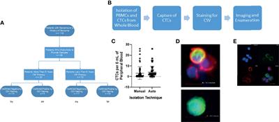 Prognostic Value of Cell-Surface Vimentin-Positive CTCs in Pediatric Sarcomas